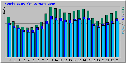 Hourly usage for January 2009