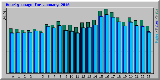 Hourly usage for January 2010