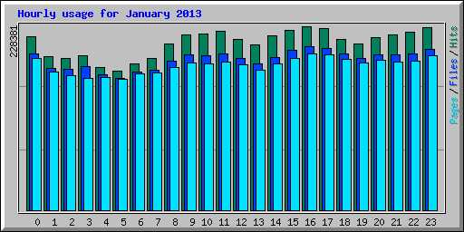 Hourly usage for January 2013
