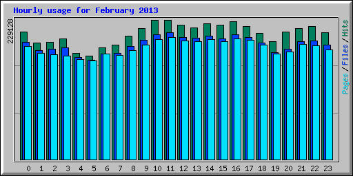 Hourly usage for February 2013