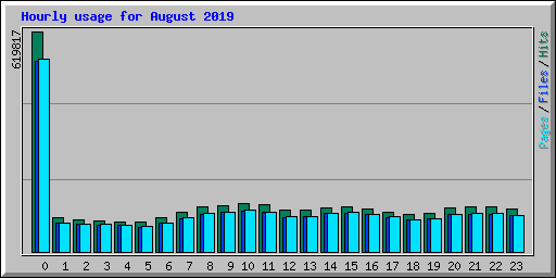 Hourly usage for August 2019