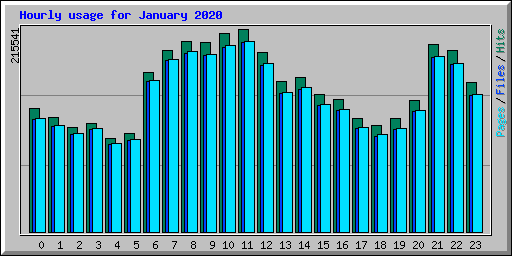 Hourly usage for January 2020