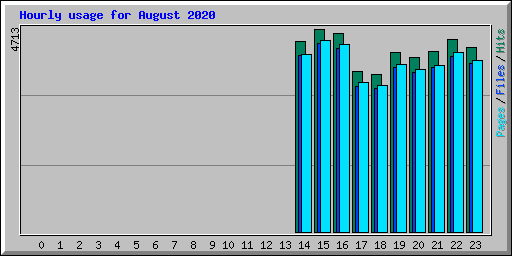 Hourly usage for August 2020