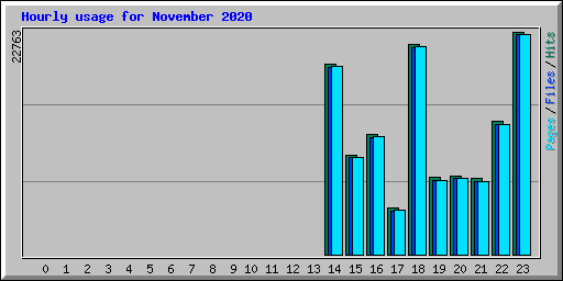 Hourly usage for November 2020