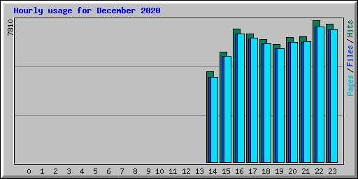 Hourly usage for December 2020