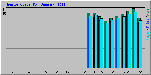 Hourly usage for January 2021