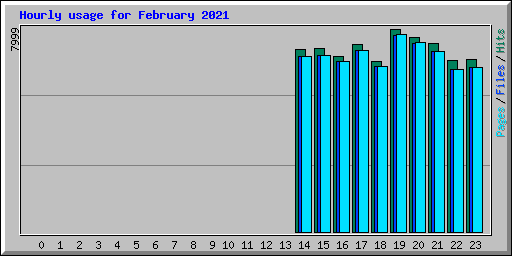 Hourly usage for February 2021