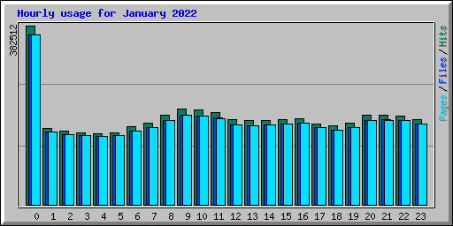 Hourly usage for January 2022