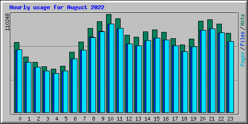 Hourly usage for August 2022