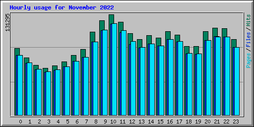 Hourly usage for November 2022