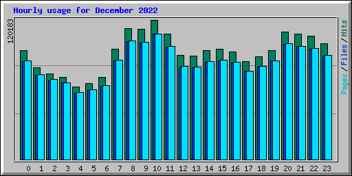 Hourly usage for December 2022