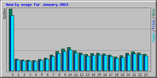 Hourly usage for January 2023