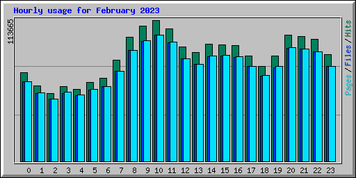 Hourly usage for February 2023
