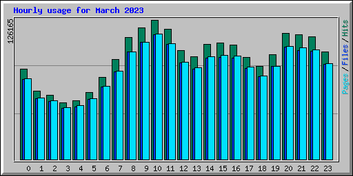 Hourly usage for March 2023