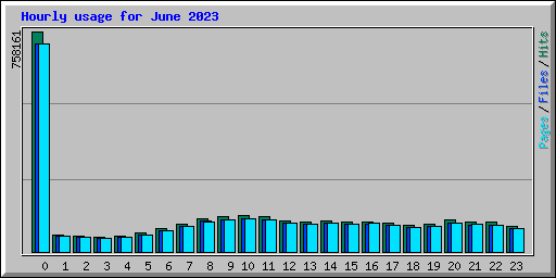 Hourly usage for June 2023