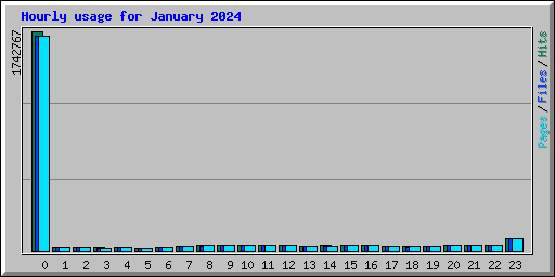 Hourly usage for January 2024