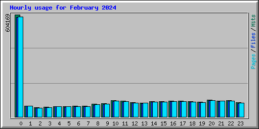 Hourly usage for February 2024