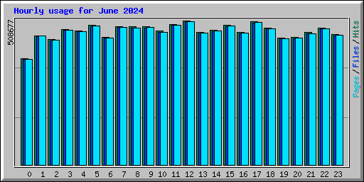 Hourly usage for June 2024