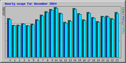 Hourly usage for December 2024