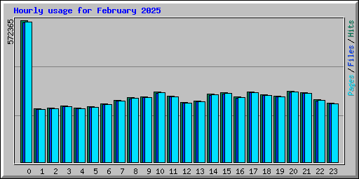 Hourly usage for February 2025