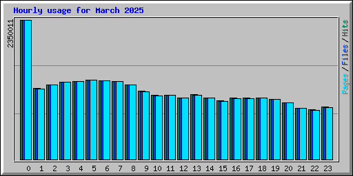 Hourly usage for March 2025