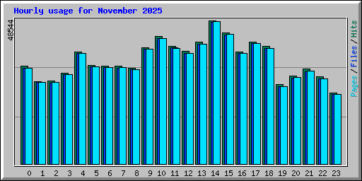 Hourly usage for November 2025