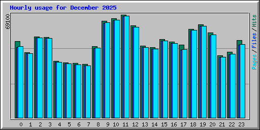 Hourly usage for December 2025