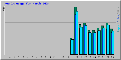 Hourly usage for March 2024