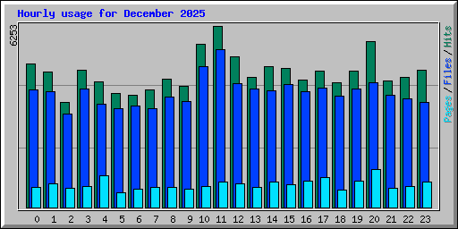 Hourly usage for December 2025
