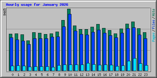Hourly usage for January 2026