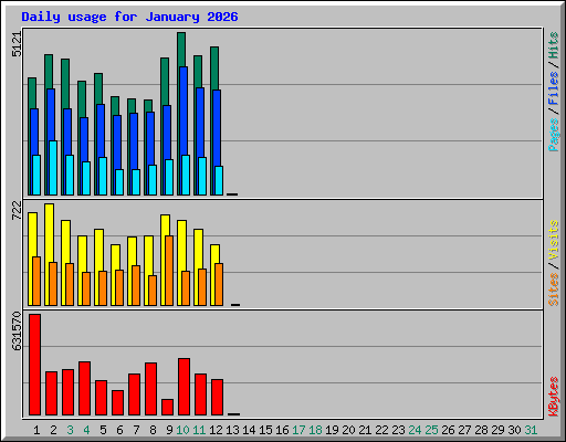 Daily usage for January 2026
