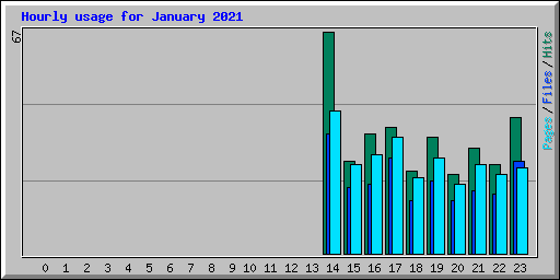 Hourly usage for January 2021