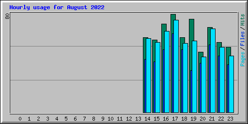 Hourly usage for August 2022