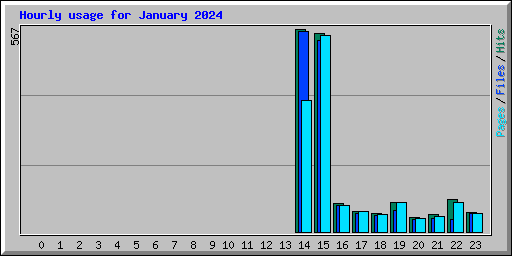 Hourly usage for January 2024