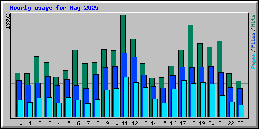 Hourly usage for May 2025