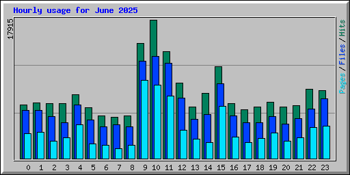 Hourly usage for June 2025