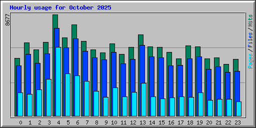 Hourly usage for October 2025