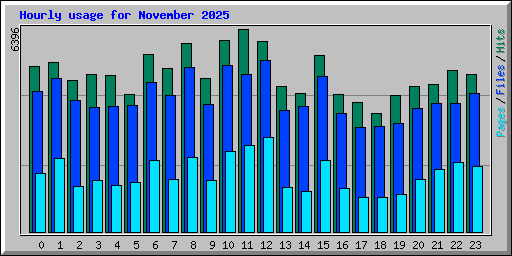 Hourly usage for November 2025