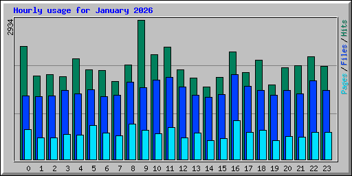 Hourly usage for January 2026