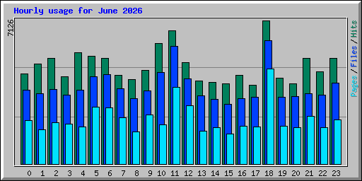 Hourly usage for June 2026