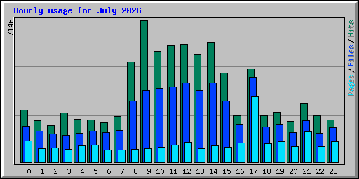 Hourly usage for July 2026