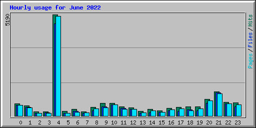 Hourly usage for June 2022