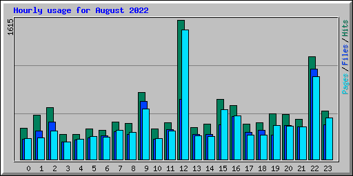 Hourly usage for August 2022