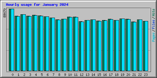 Hourly usage for January 2024