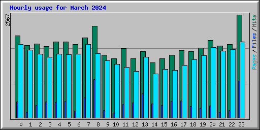 Hourly usage for March 2024