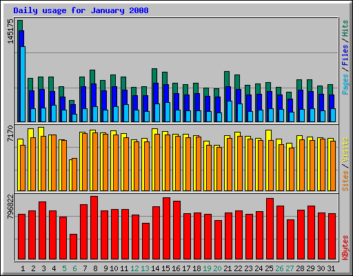 Daily usage for January 2008