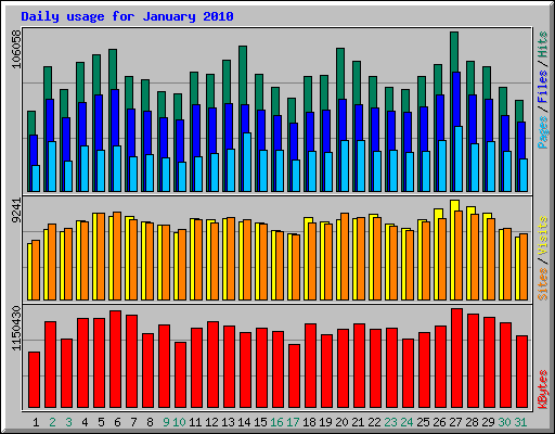 Daily usage for January 2010