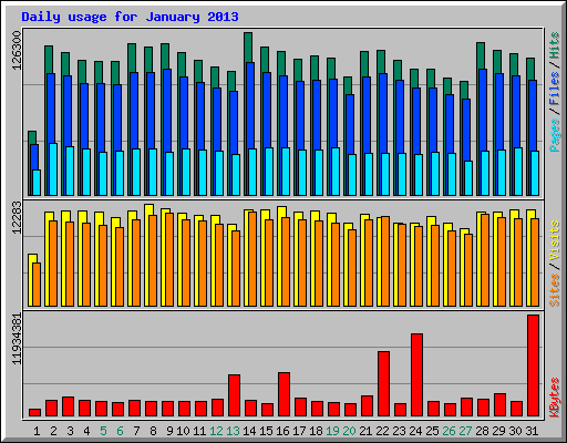 Daily usage for January 2013