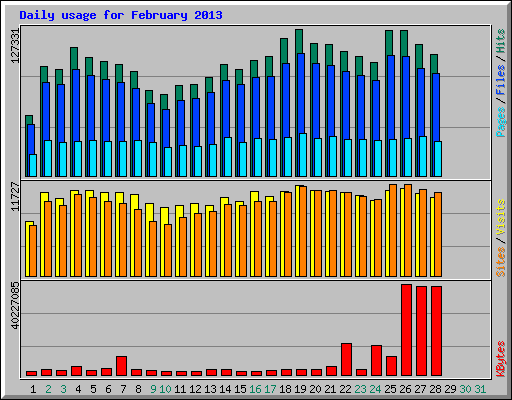 Daily usage for February 2013