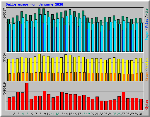 Daily usage for January 2020